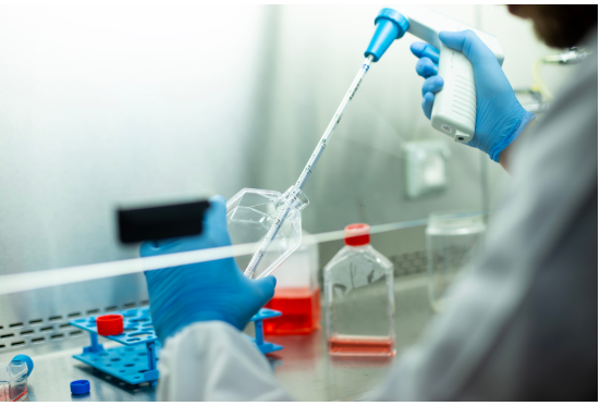 Fire assay analysis