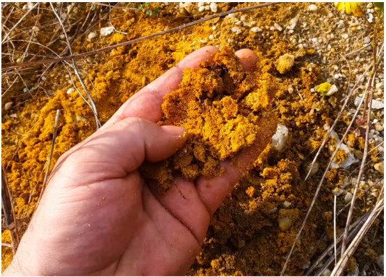 Africana Gold overview 4